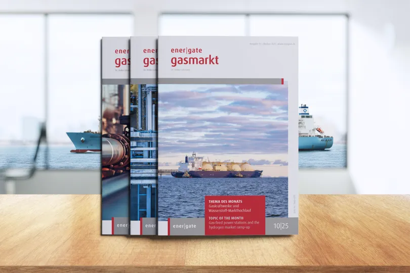 Bild des energate Gasmarkt
